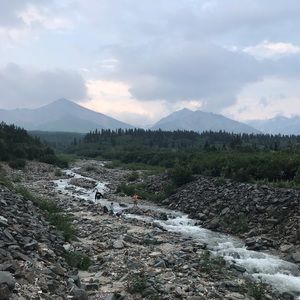 Meet your Posher, Carla